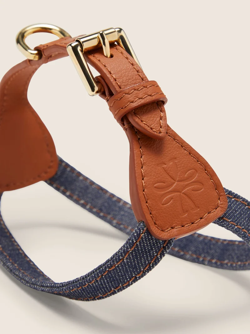 Denim and Leather Harness and Leash Kit