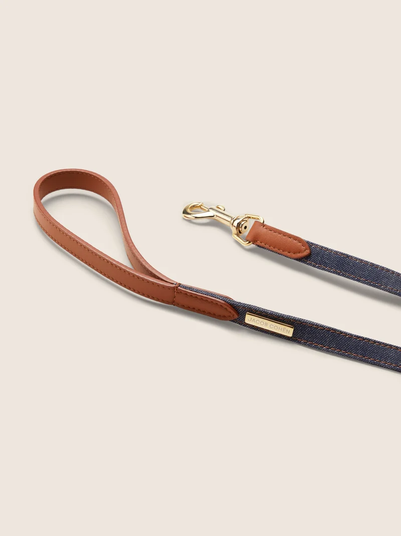 Denim and Leather Harness and Leash Kit