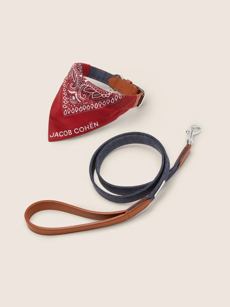 Denim and Leather Collar and Leash Kit