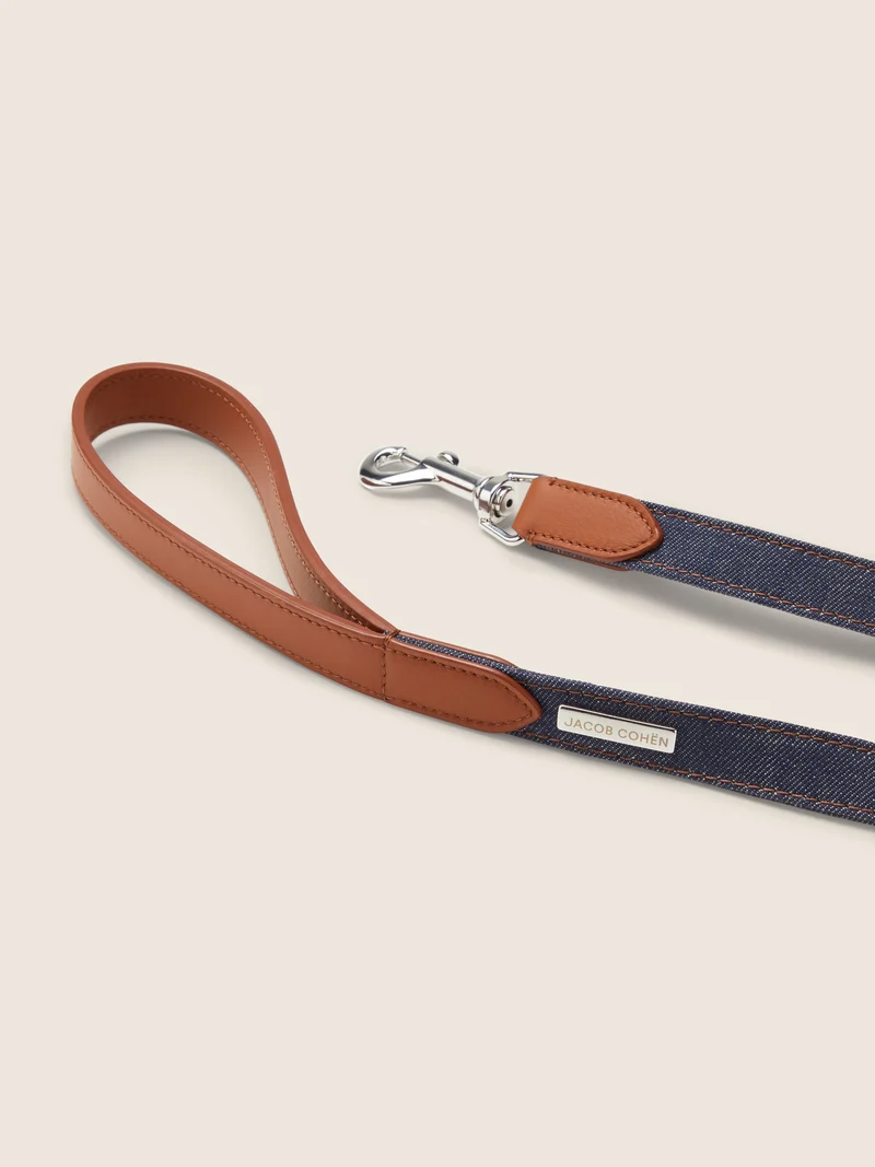 Denim and Leather Collar and Leash Kit