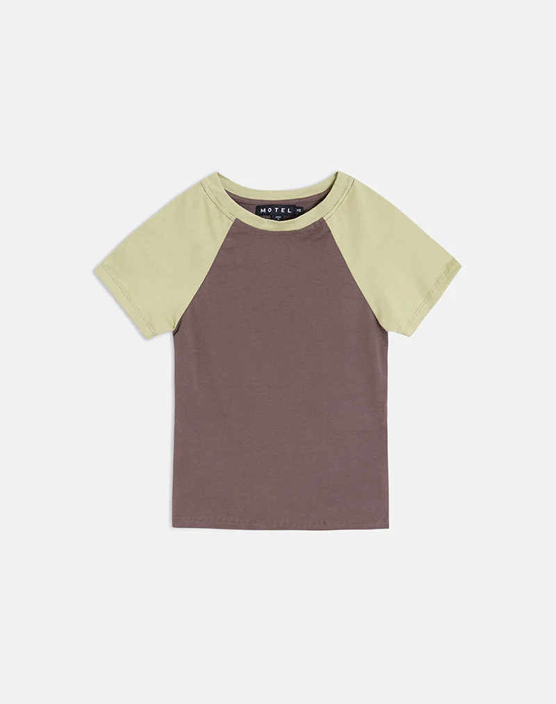 Agneta-T-Shirt in der Farbkombination „Coffee Quartz“ und „Sage“